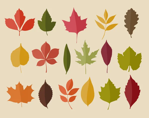 Conjunto de hojas aisladas de color otoño — Vector de stock