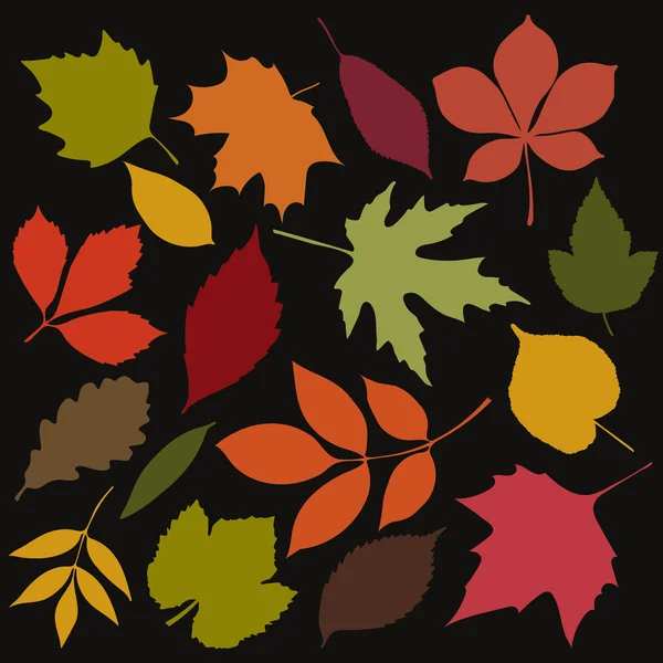 Conjunto de hojas aisladas de color otoño — Vector de stock