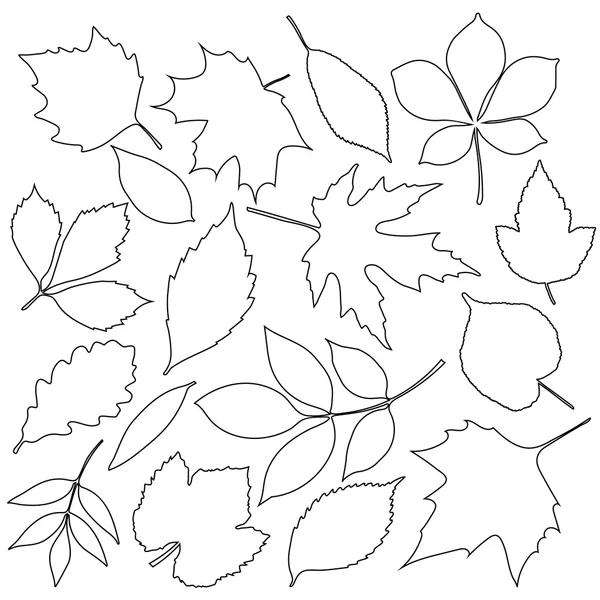 Σύνολο των απομονωμένων μαύρο φθινοπωρινά φύλλα — Διανυσματικό Αρχείο