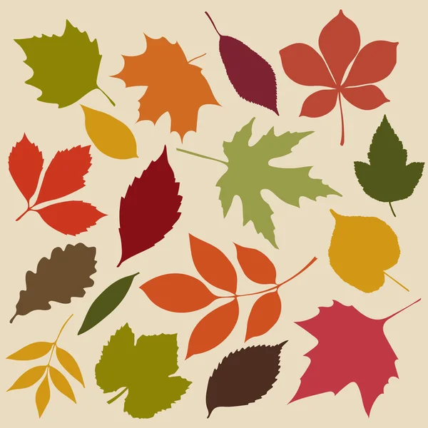 Conjunto de hojas de otoño aisladas — Vector de stock