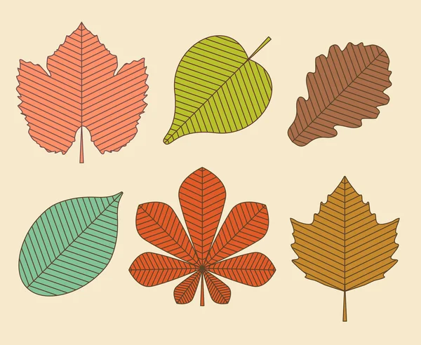 Silueta de hojas de otoño — Vector de stock