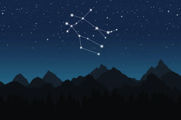 Vector illustration of Gemini constellation — Stock Vector