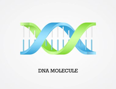 İnsan Dna molekülü sembolü