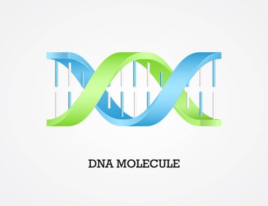 İnsan Dna molekülü sembolü