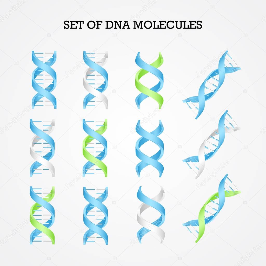 Human DNA molecule symbols set