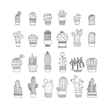 Dizi doodle kaktüs ve succulents