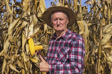 Yukarı Mısır iyidir