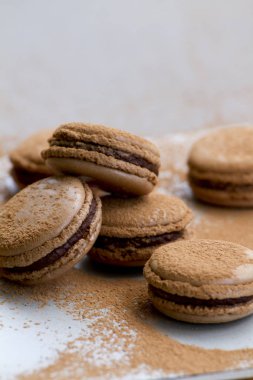 Çikolata macarons üzerinde gri artalanları ve kakao tozu