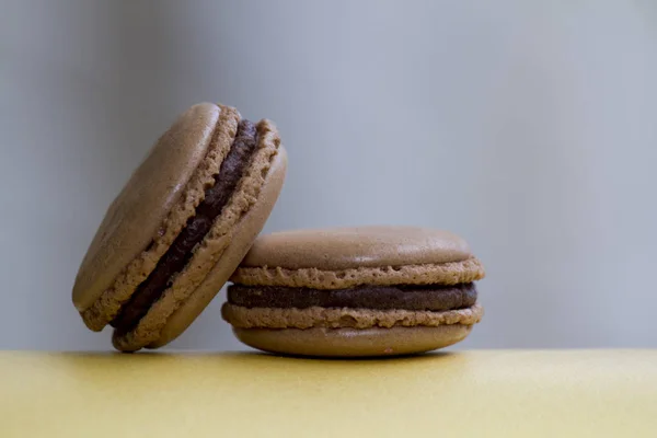 Два шоколадних макарони на сірому фоні — стокове фото