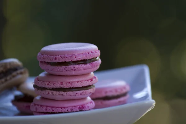 Pink Çerezler macarons tuzlu karamel ile — Stok fotoğraf