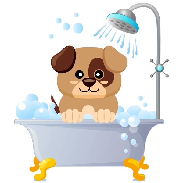 Mignon chiot qui prend son bain. toilettage des chiens — Image vectorielle