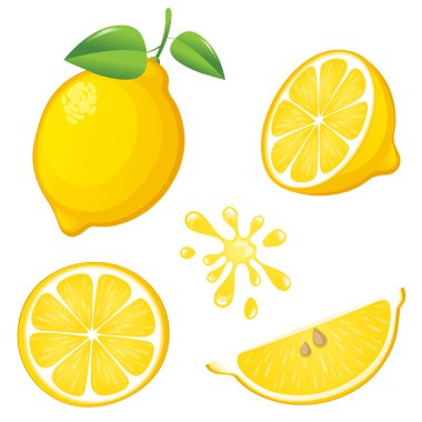 Taze limon. Vektör çizim