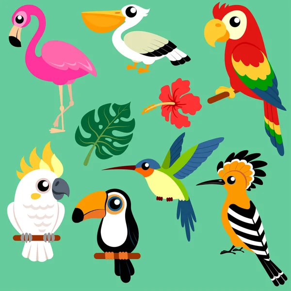 Conjunto Aves Tropicales Exóticas Brillantes — Vector de stock