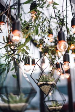 Florariums taşlar ve çiçekler arasında lambalar tavandan asılı
