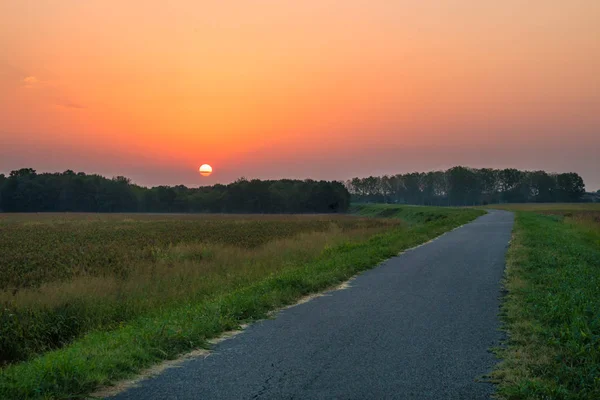 Sunrise (İtalya Po Vadisi'nde)