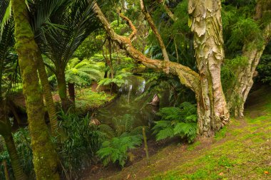 Furnas, Azores 'de Park Terra Nostra