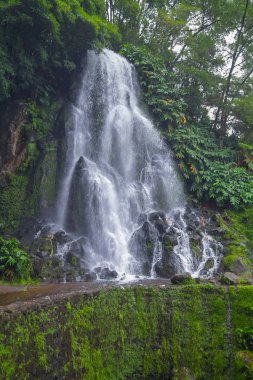 Ribeira dos Caldeiroes, Azores 'deki şelale sistemi.