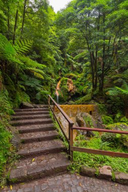 Caldeira Velha, Azores 'deki şelaleli park, Sao Miguel. 