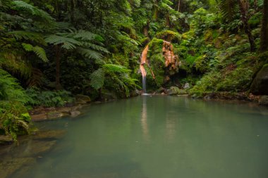 Caldeira Velha, Azores 'deki şelaleli park, Sao Miguel. 