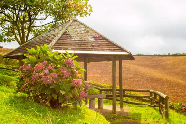 Paisaje Azores Portugal — Foto de Stock