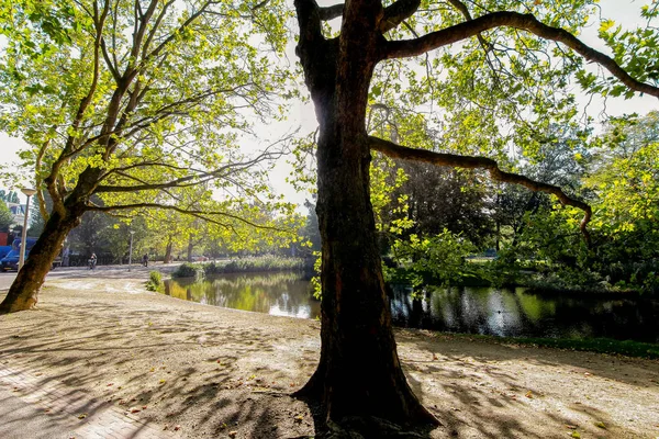 Amsterdam Hollanda Vondelpark — Stok fotoğraf