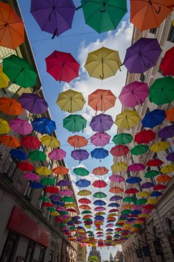 Romanya 'nın Timisoara kenti Mayıs ayında