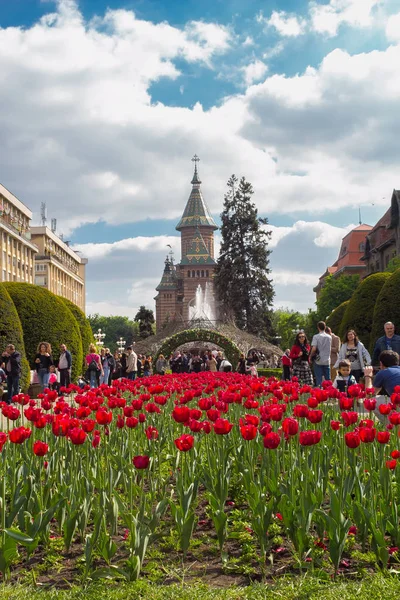 Romanya 'nın Timisoara kenti Mayıs ayında