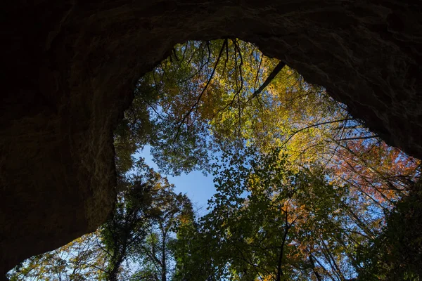 Verde Hermosa Naturaleza Serbia — Foto de Stock