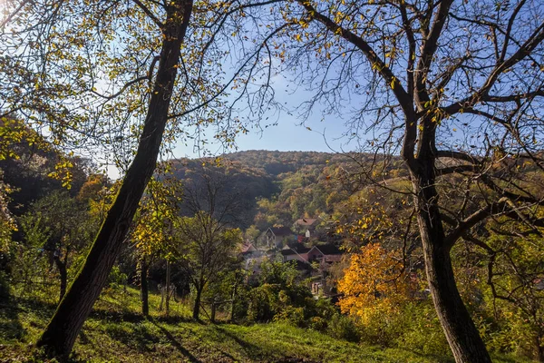 Belle Nature Verte Serbie — Photo