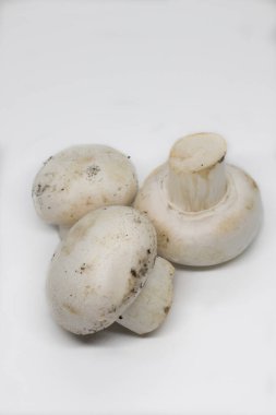 Beyaz arkaplanda beyaz mantarların nesnesi