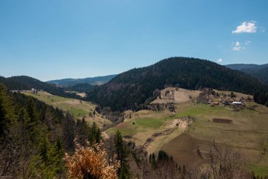 Sırbistan 'ın Zlatar dağlarında bahar