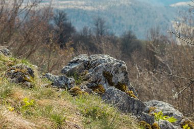 Sırbistan 'ın Zlatar dağlarında bahar