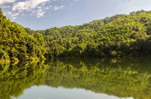 lakes dams store water tropics and green forest background