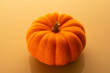 Küçük balkabağı turuncu arkaplanı kapat