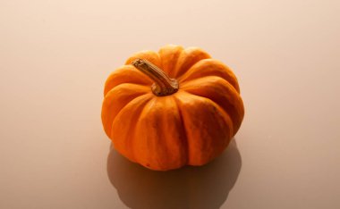 Küçük bir balkabağını parlak bir tabanda kapat