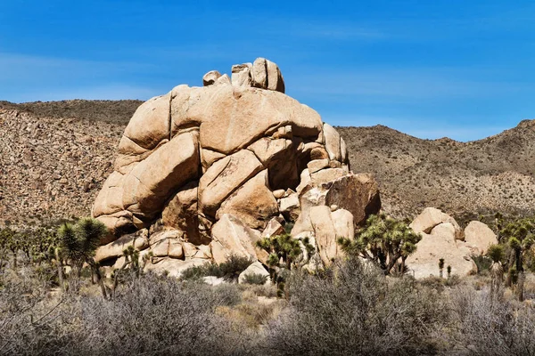 米国カリフォルニア州の石の砂漠 — ストック写真