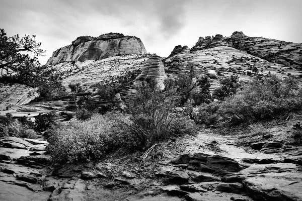 Paisaje en la montaña en el Parque Nacional Zion, EE.UU. — Foto de Stock