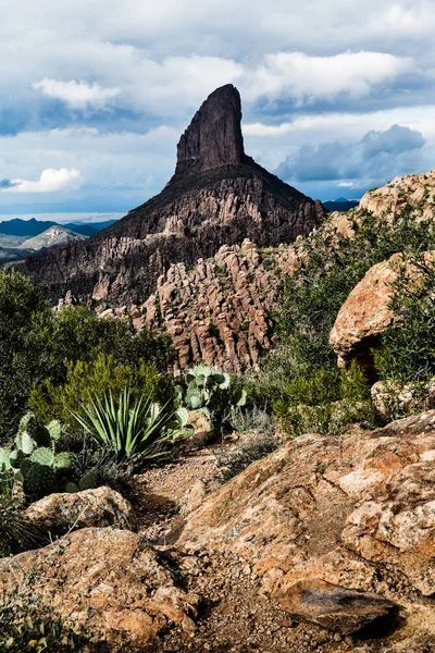 Krajobraz w Arizonie w Tonto National Forest, Stany Zjednoczone Ameryki — Zdjęcie stockowe