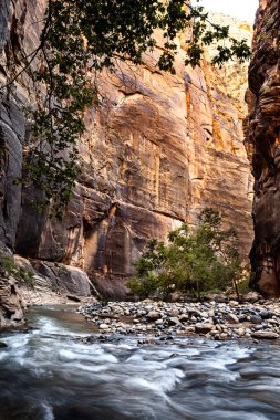 Zion National Park, Utah, ABD nehir manzara