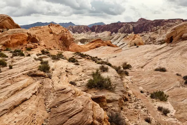 Doğal manzara çöl, ABD