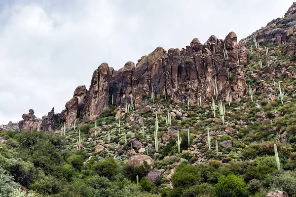 Paisaje en el desierto de Arizona, EE.UU. — Foto de Stock