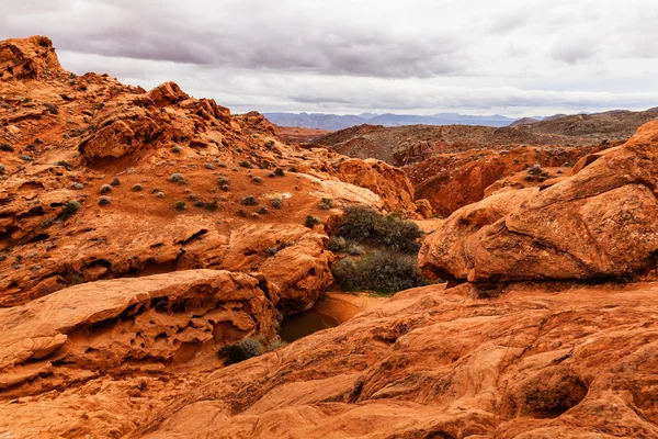 아름 다운 풍경의 암석 사막, 미국에서 — 스톡 사진