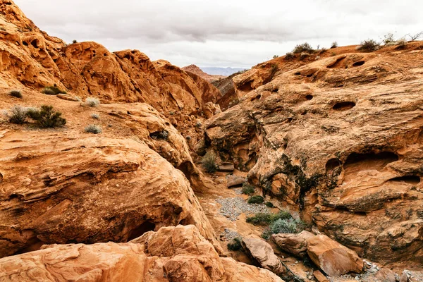景观的风景沙漠南部内华达州，美国 — 图库照片