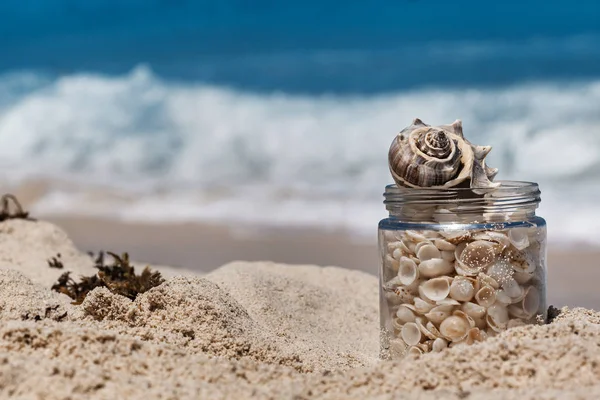 Conchas em um frasco de vidro na praia de areia, paisagem tropical — Fotografia de Stock