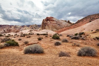 Manzara manzara çöl Güney Nevada, ABD