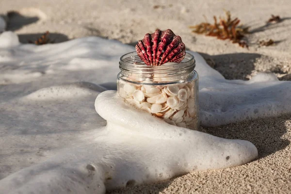 Sea shells in the jar on a sandy beach at sunset time — Stock Photo, Image
