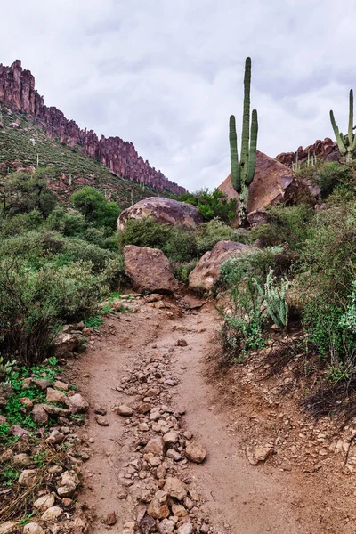 Weg hinauf zu den Bergen, arizona Landschaft, USA — Stockfoto
