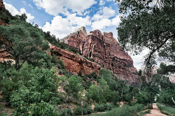 Paisaje de montaña con árboles verdes en Zion, Estados Unidos — Foto de Stock