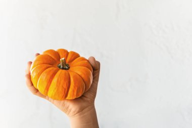 Turuncu kabak bir fazlası ile Ekim ayında elinde tutan bir çocuk