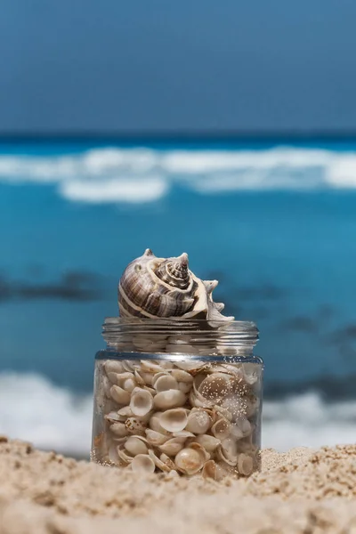 Kabukları kum plaj, tropikal manzara cam kavanozda